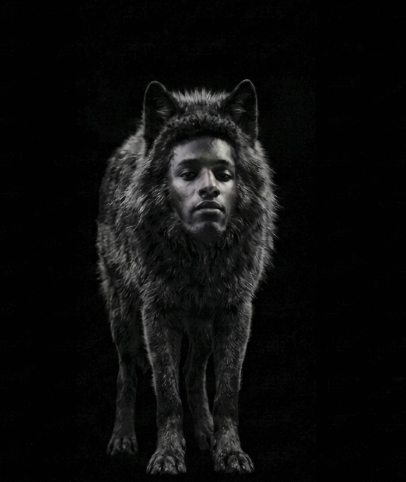 The Black Wolf $WOLFSEM artwork