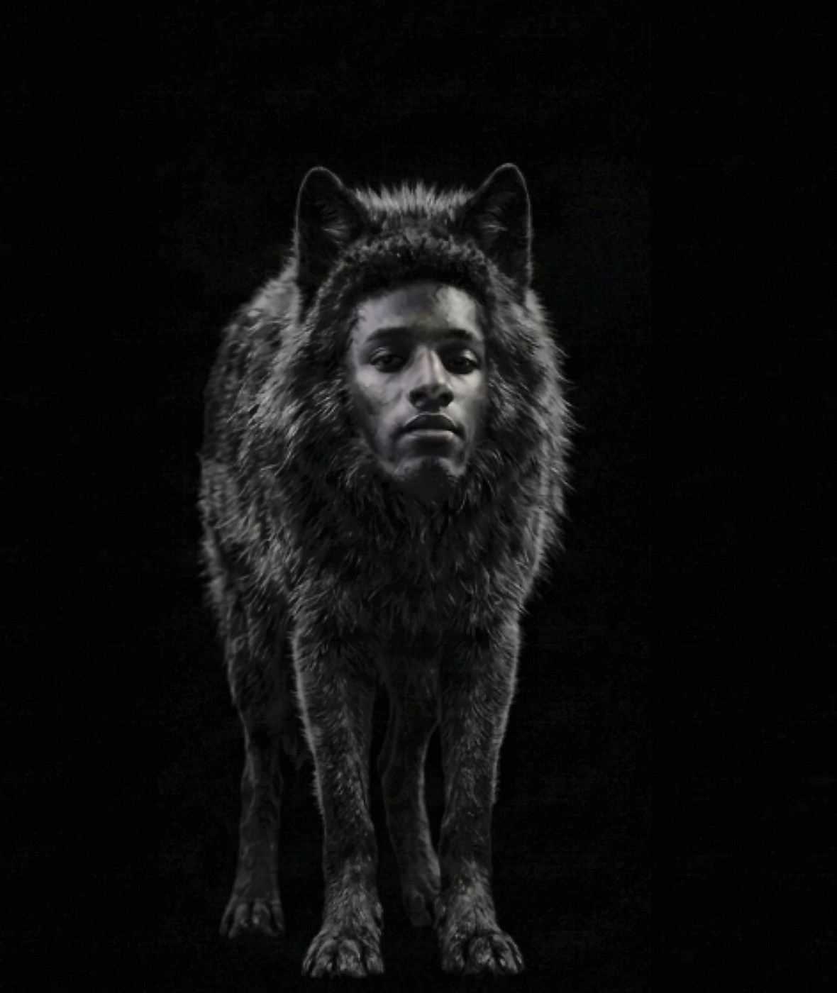 The Black Wolf artwork